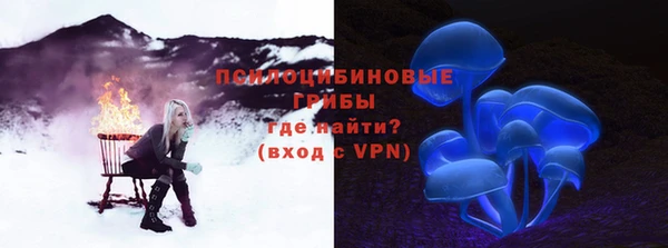 трава Снежногорск