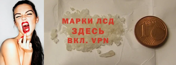гидра Абаза