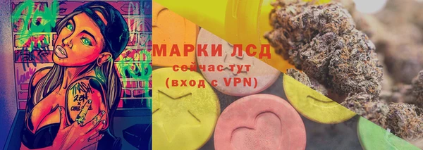 гидра Абаза
