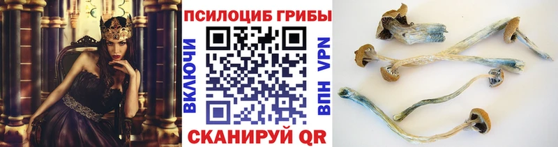 Галлюциногенные грибы Magic Shrooms  Зеленодольск 